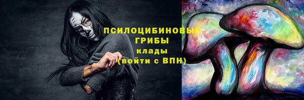 стаф Медногорск