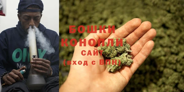 мдпв Мегион