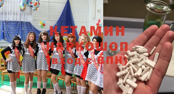 стаф Медногорск