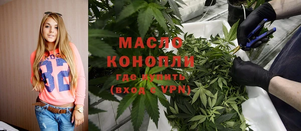 стаф Медногорск