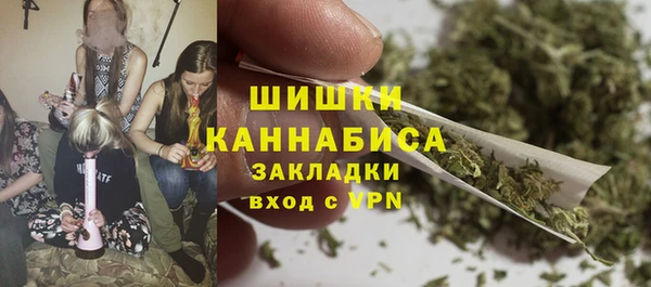 стаф Медногорск