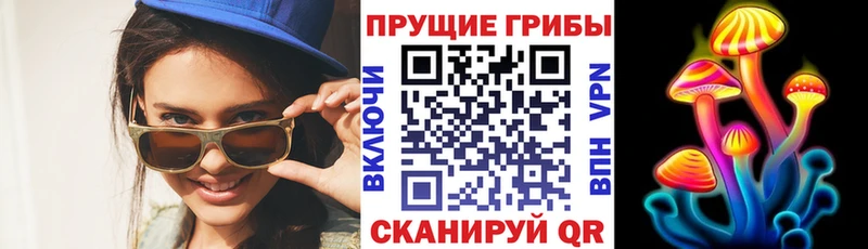 Псилоцибиновые грибы мицелий  мега зеркало  Киренск  что такое наркотик 